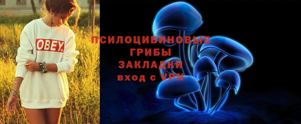 хмурый Алексин