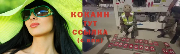 хмурый Алексин