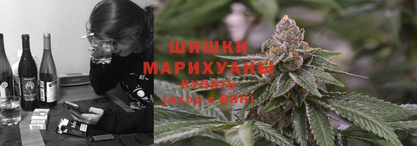хмурый Алексин